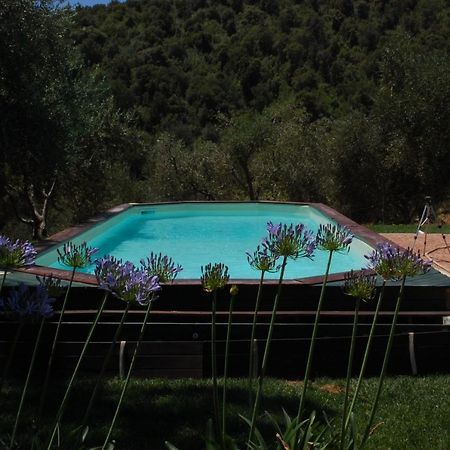 Il Pino Bed & Breakfast Vetulonia Exterior photo