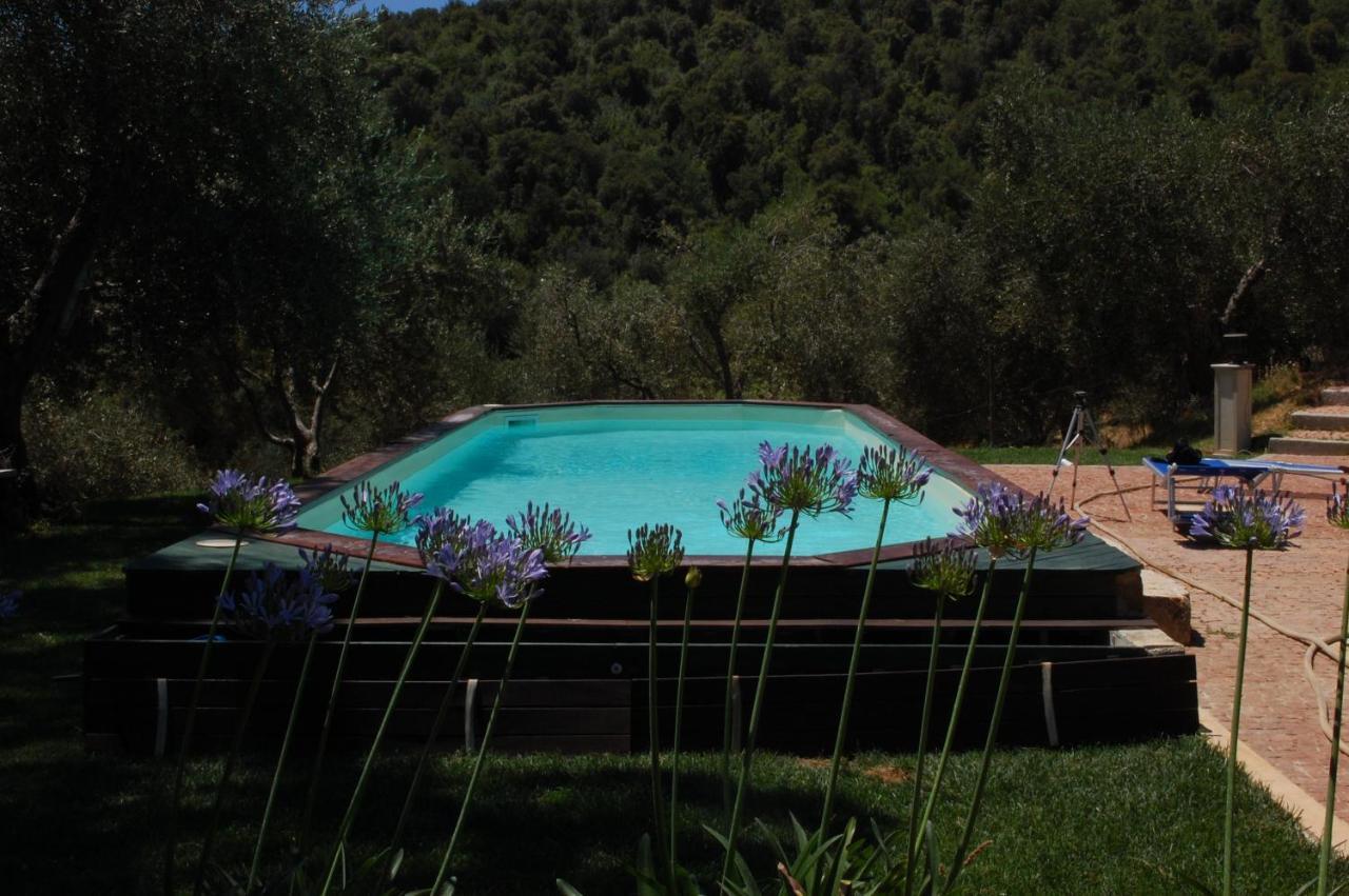 Il Pino Bed & Breakfast Vetulonia Exterior photo
