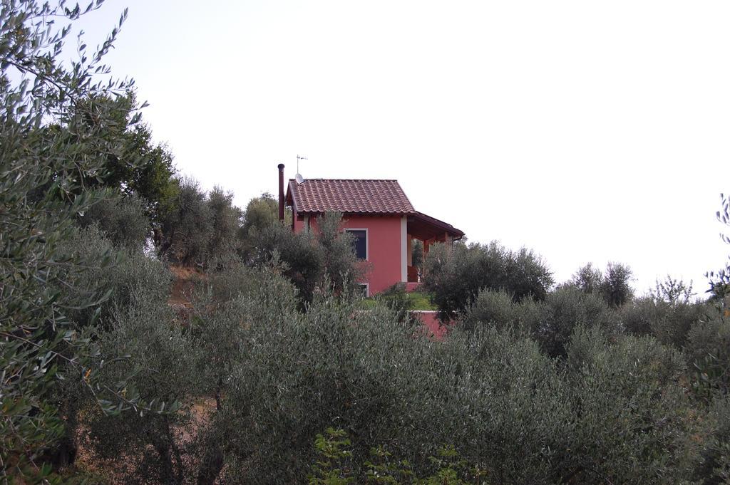 Il Pino Bed & Breakfast Vetulonia Exterior photo