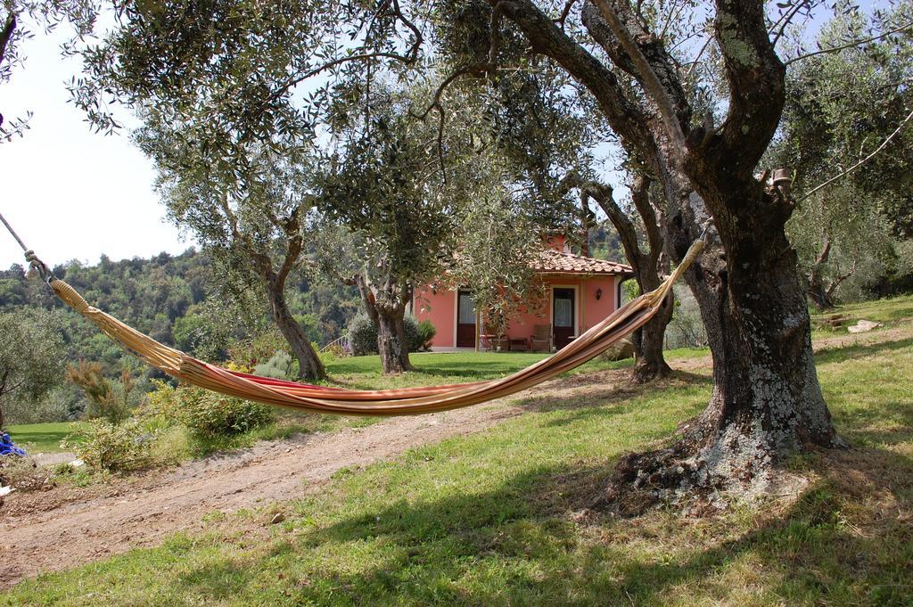 Il Pino Bed & Breakfast Vetulonia Exterior photo