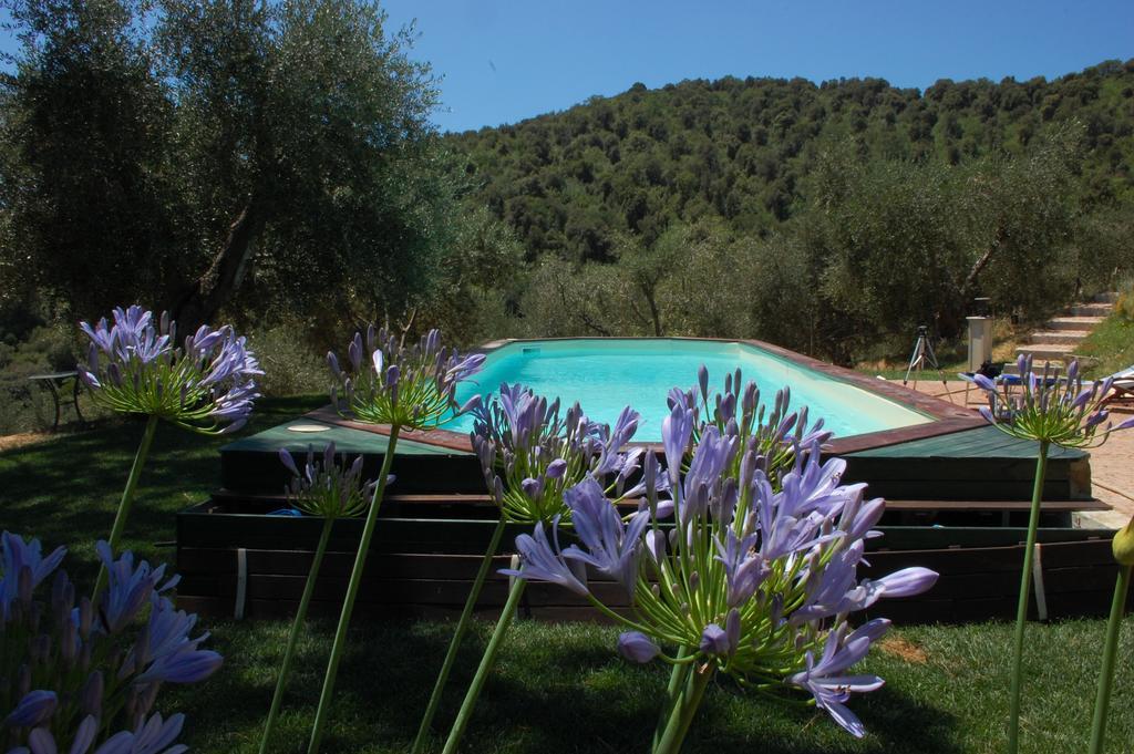 Il Pino Bed & Breakfast Vetulonia Exterior photo