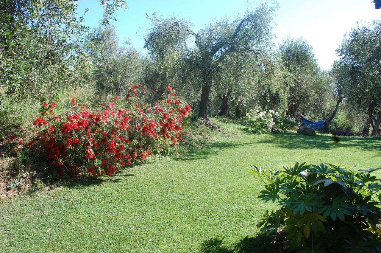 Il Pino Bed & Breakfast Vetulonia Exterior photo